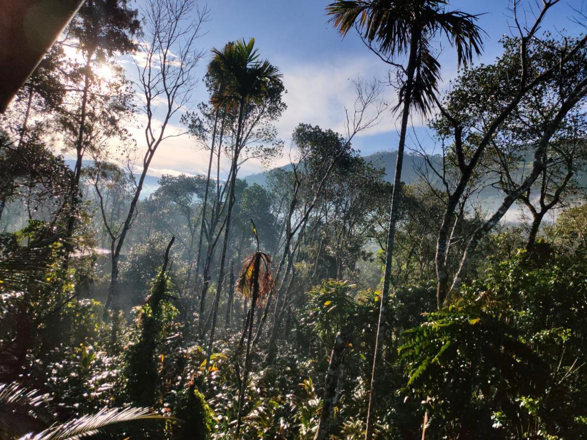 Villoonnickal Homestay Munnar Buitenkant foto