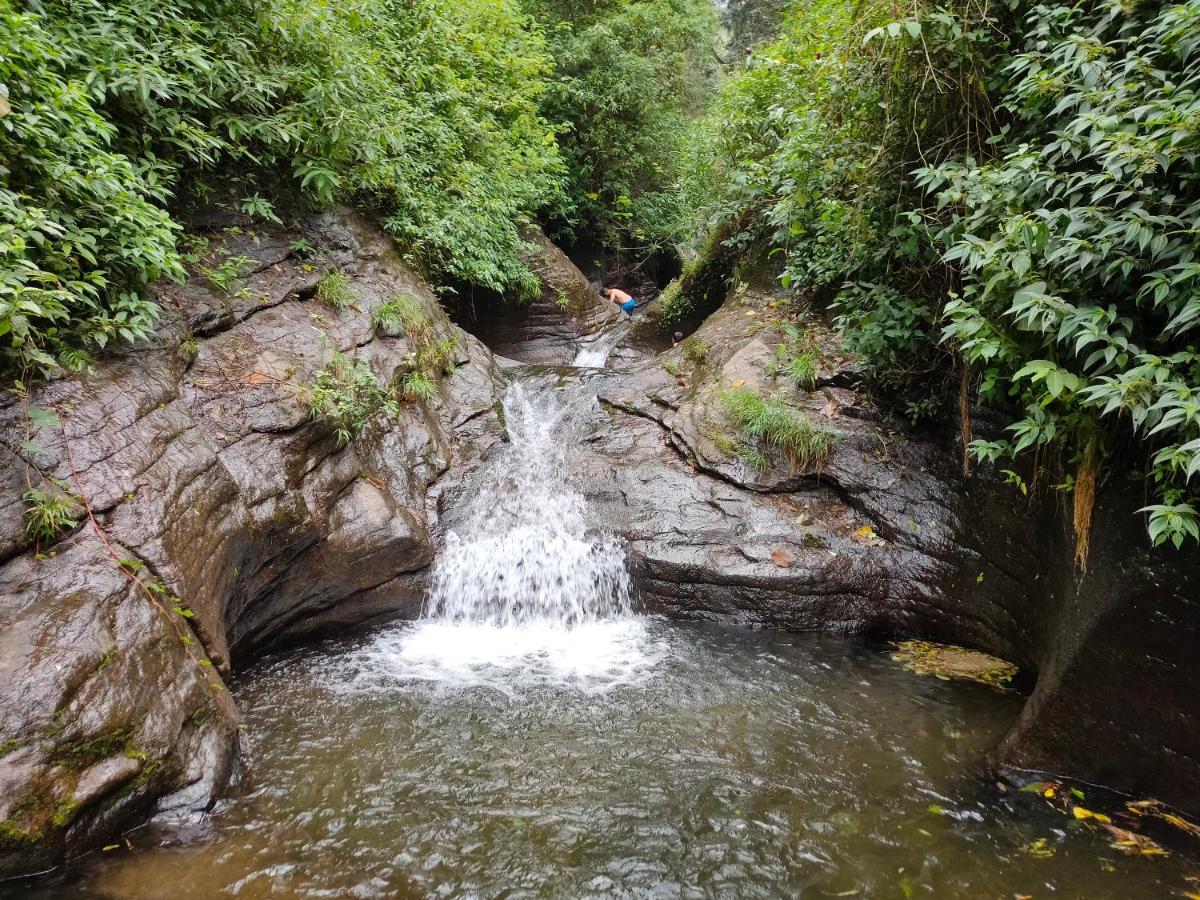 Villoonnickal Homestay Munnar Buitenkant foto