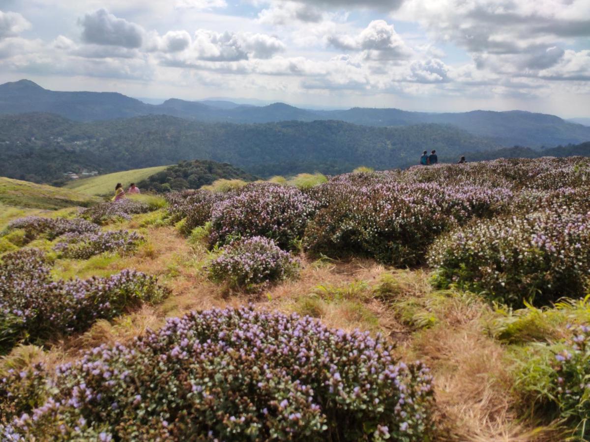 Villoonnickal Homestay Munnar Buitenkant foto