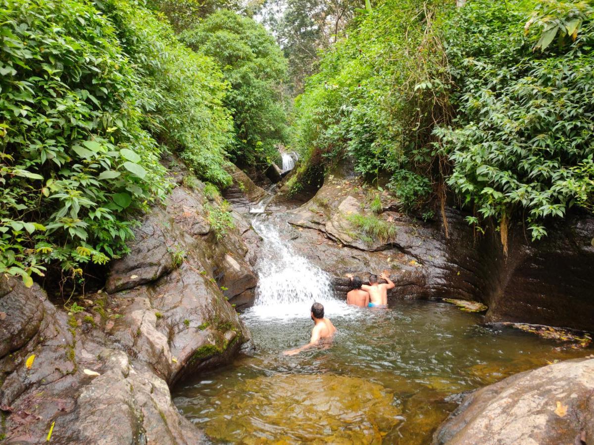 Villoonnickal Homestay Munnar Buitenkant foto